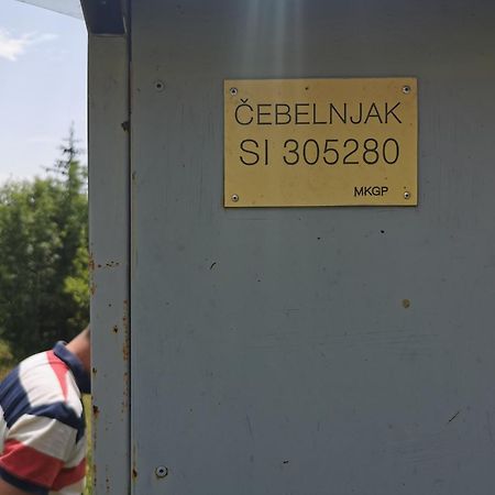 Farm Stay Pri Cepcovih Golac Экстерьер фото