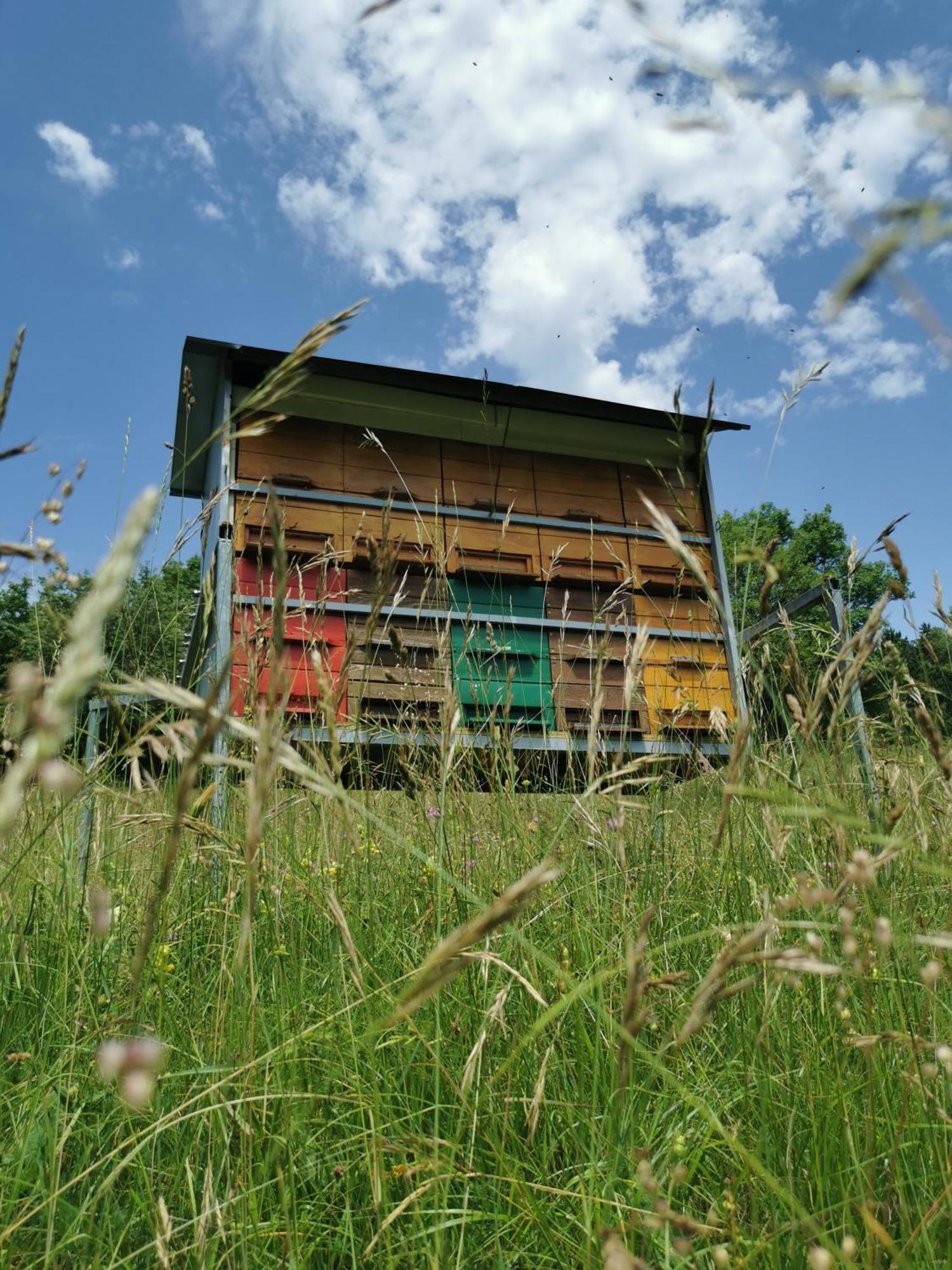 Farm Stay Pri Cepcovih Golac Экстерьер фото